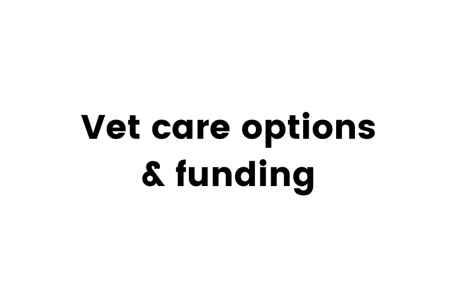 kane's krusade resources - vet care options & funding