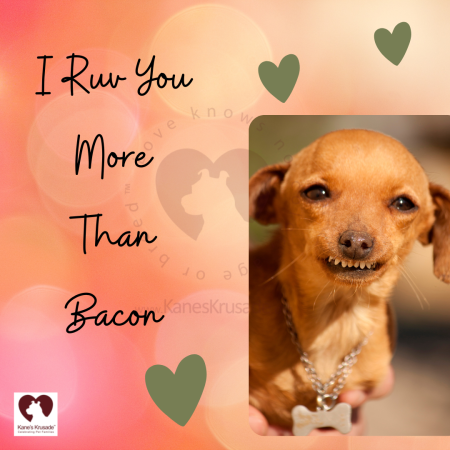 I Ruv You More Than Bacon W